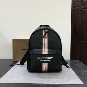 Burberry Handbags 255